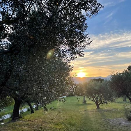 Agriturismo Villa Rosetta San Severino Marche Dış mekan fotoğraf