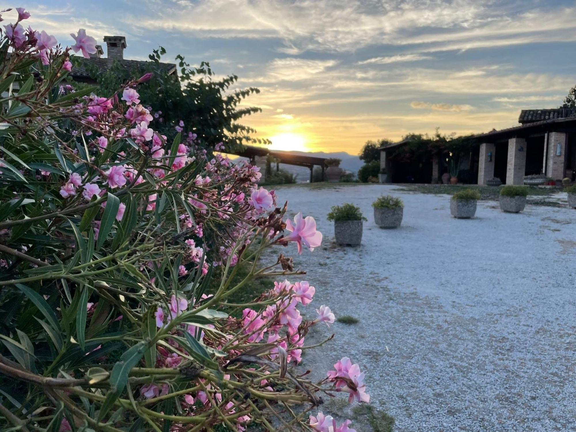 Agriturismo Villa Rosetta San Severino Marche Dış mekan fotoğraf