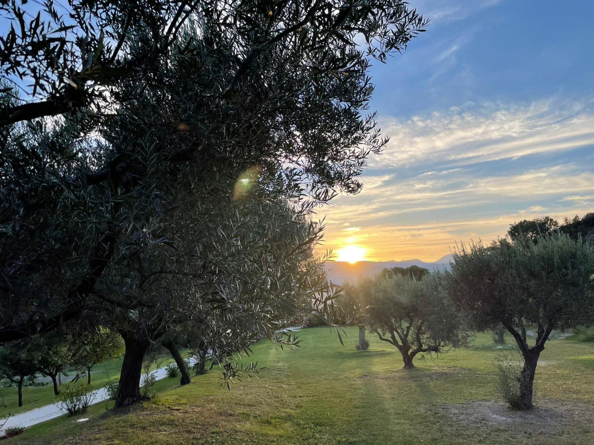 Agriturismo Villa Rosetta San Severino Marche Dış mekan fotoğraf