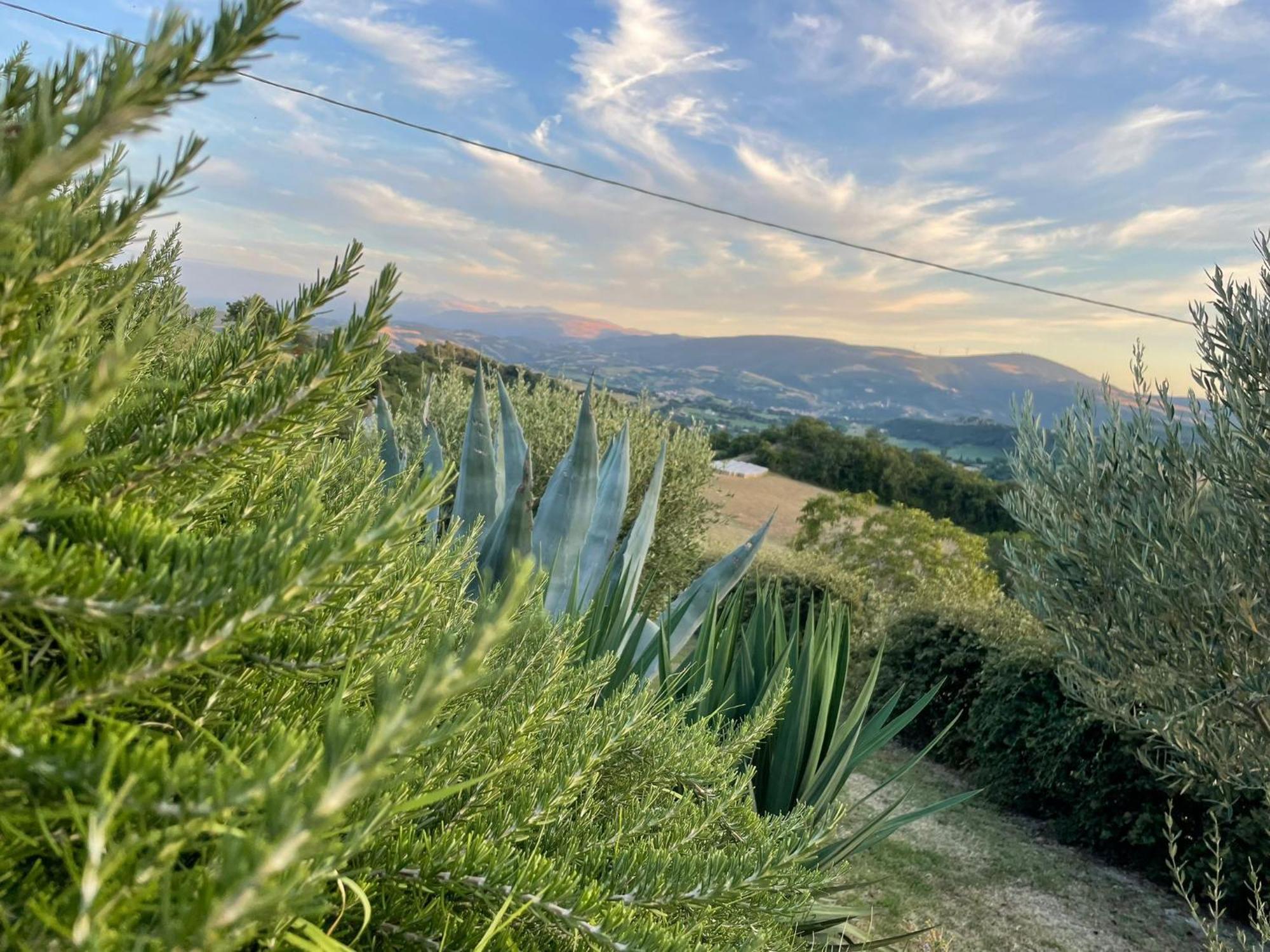 Agriturismo Villa Rosetta San Severino Marche Dış mekan fotoğraf