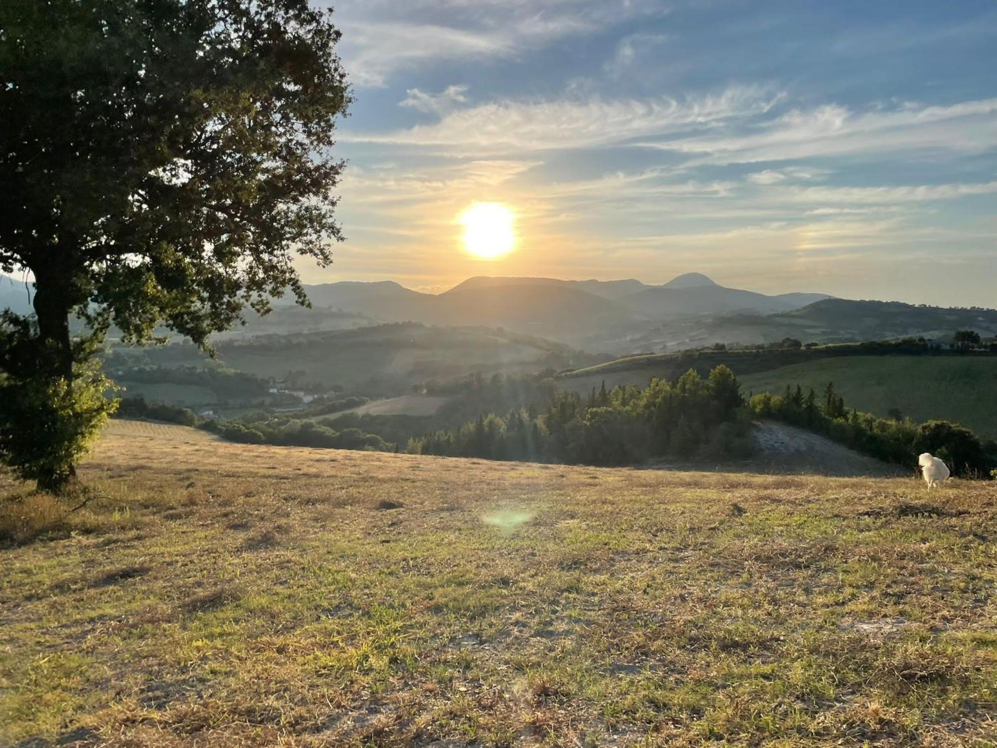 Agriturismo Villa Rosetta San Severino Marche Dış mekan fotoğraf