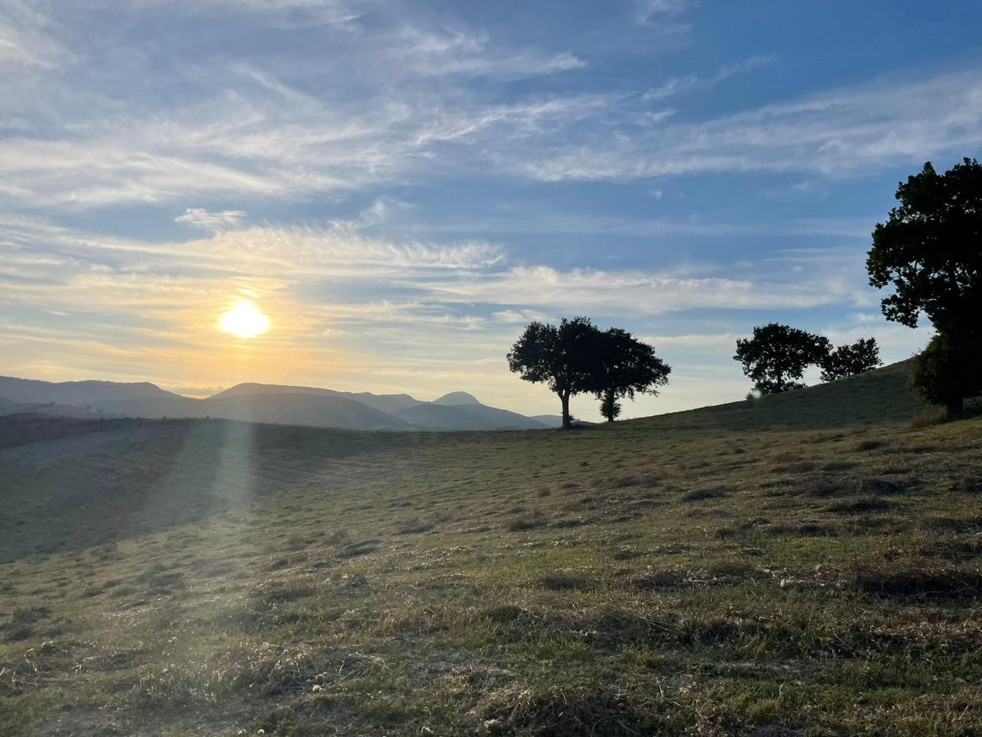 Agriturismo Villa Rosetta San Severino Marche Dış mekan fotoğraf