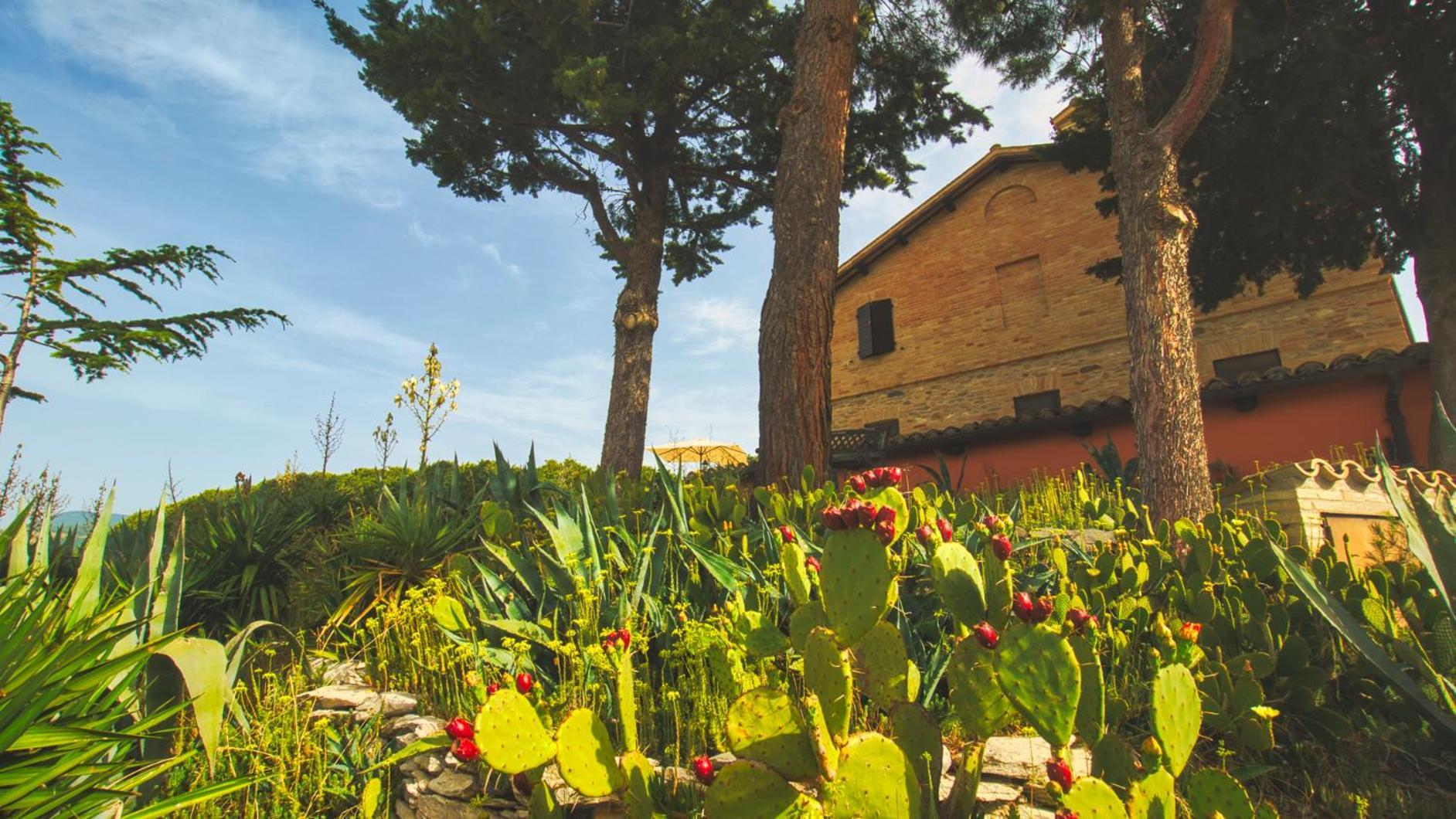 Agriturismo Villa Rosetta San Severino Marche Dış mekan fotoğraf