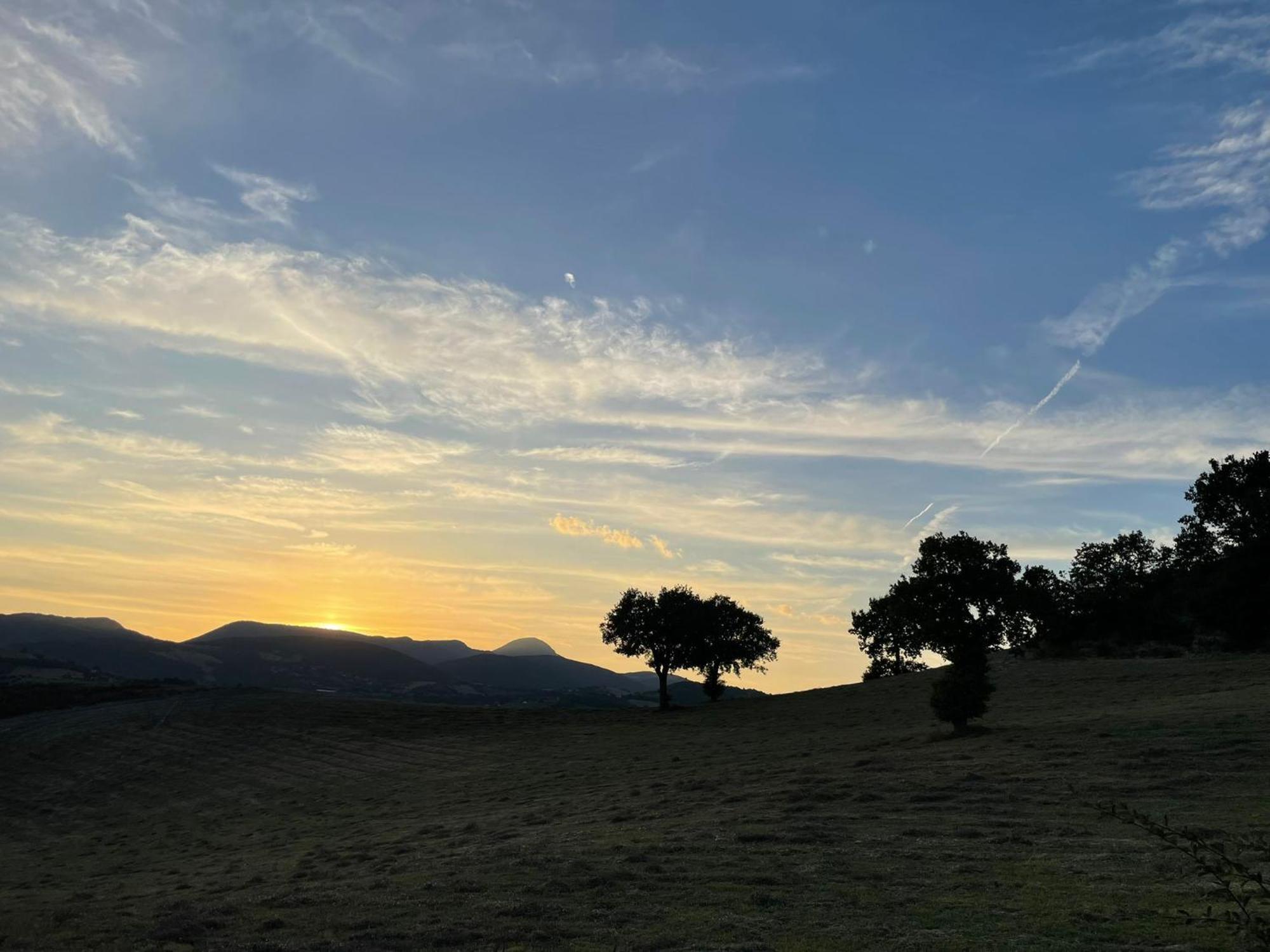 Agriturismo Villa Rosetta San Severino Marche Dış mekan fotoğraf