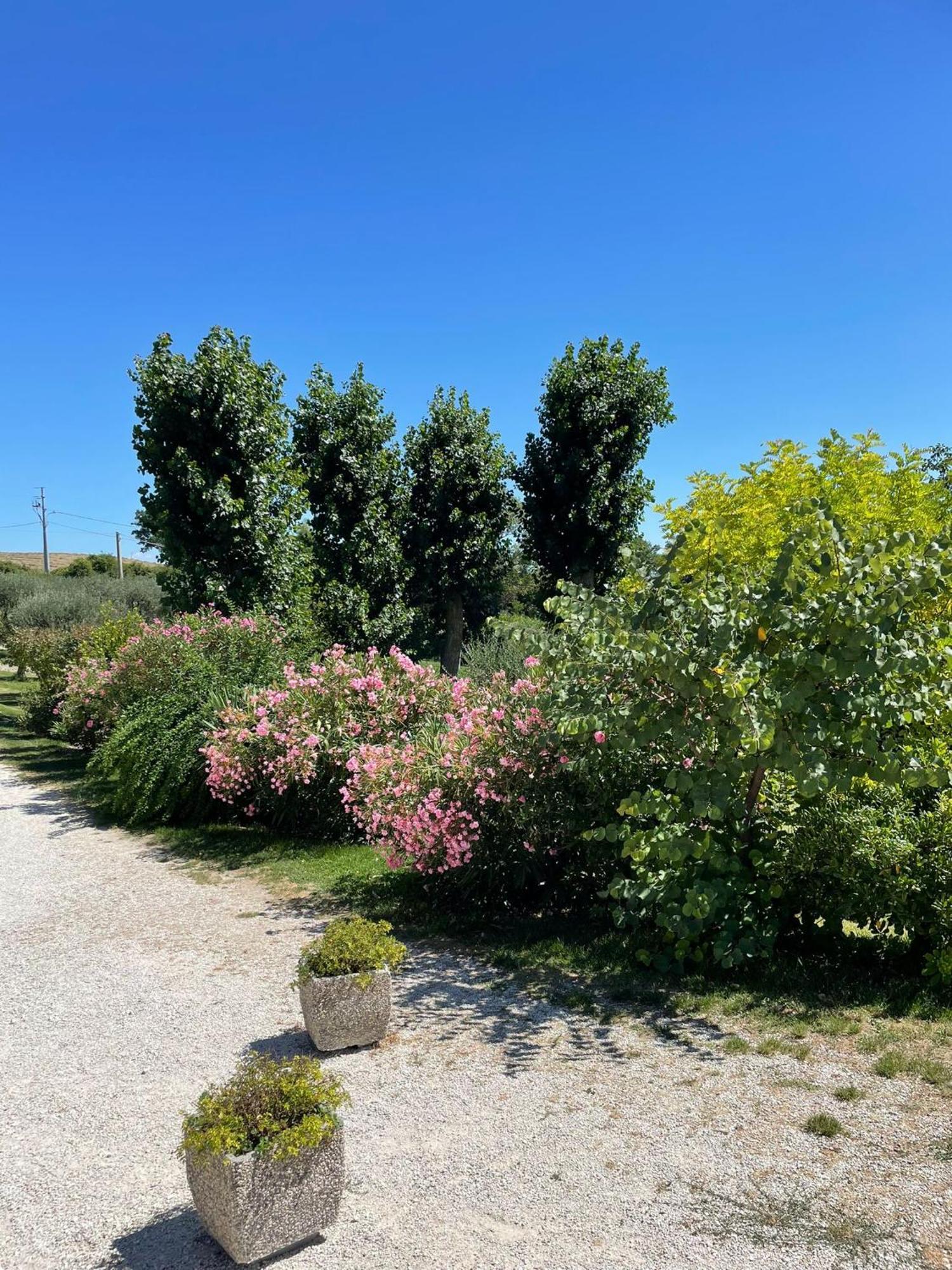 Agriturismo Villa Rosetta San Severino Marche Dış mekan fotoğraf