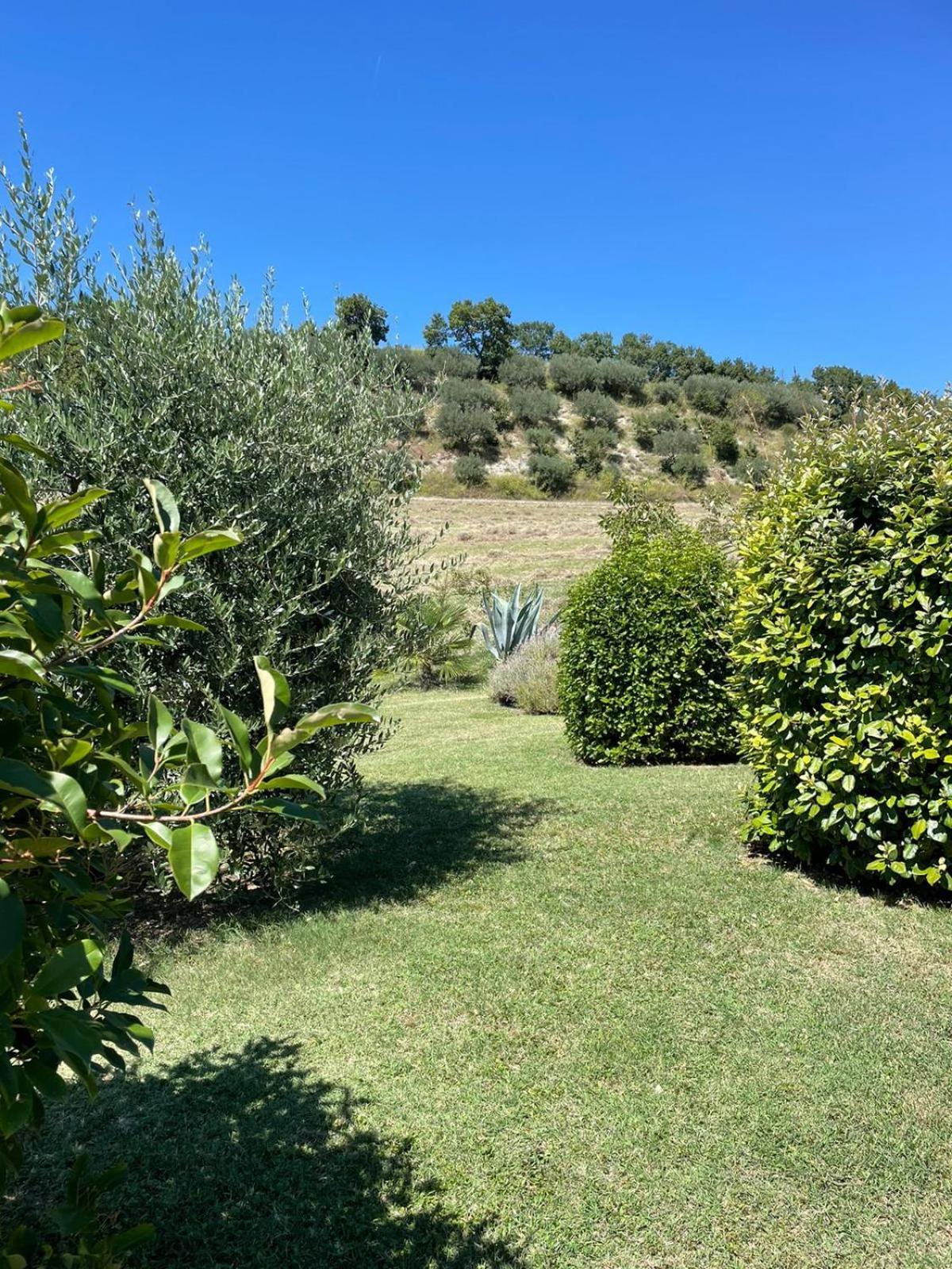 Agriturismo Villa Rosetta San Severino Marche Dış mekan fotoğraf