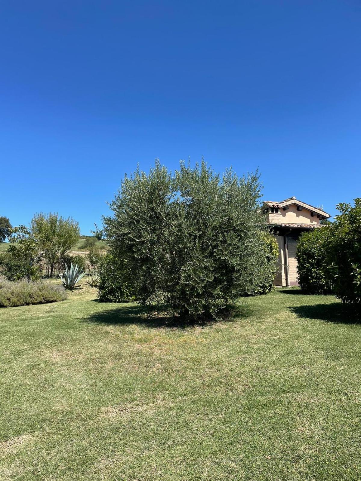 Agriturismo Villa Rosetta San Severino Marche Dış mekan fotoğraf