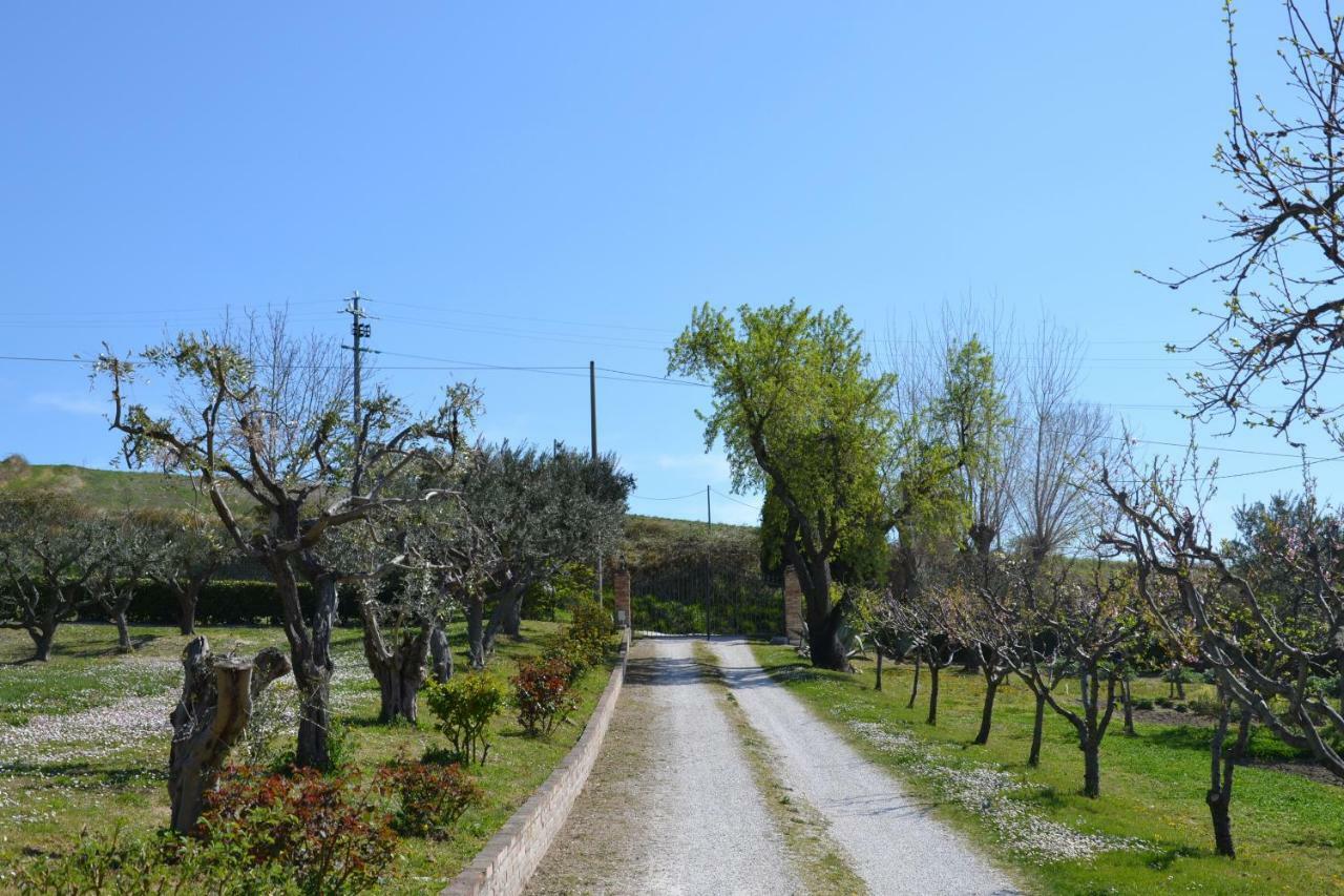 Agriturismo Villa Rosetta San Severino Marche Dış mekan fotoğraf