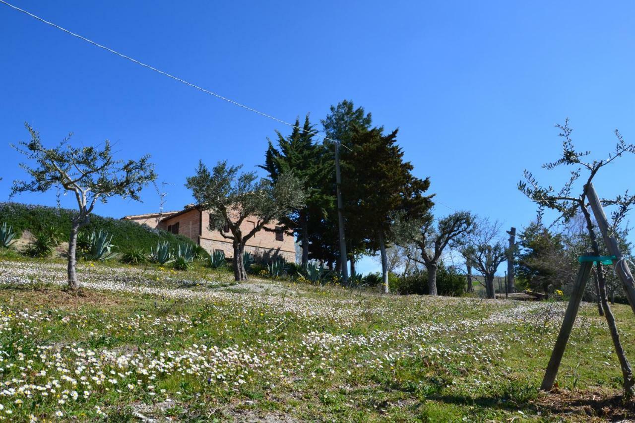 Agriturismo Villa Rosetta San Severino Marche Dış mekan fotoğraf