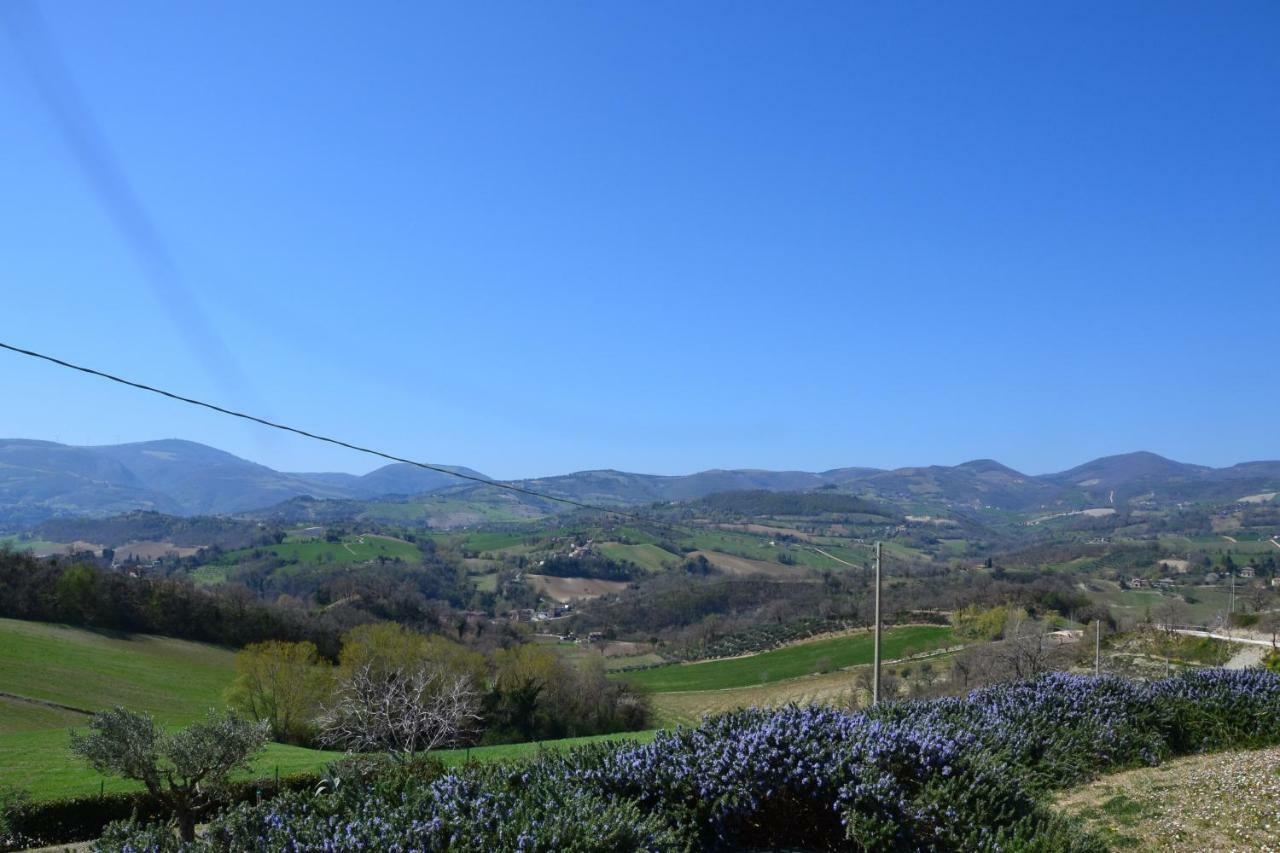 Agriturismo Villa Rosetta San Severino Marche Dış mekan fotoğraf