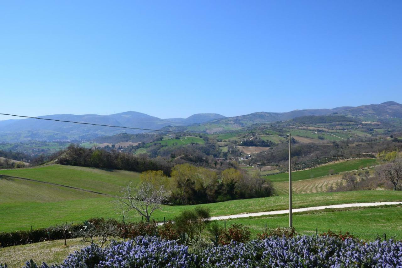 Agriturismo Villa Rosetta San Severino Marche Dış mekan fotoğraf