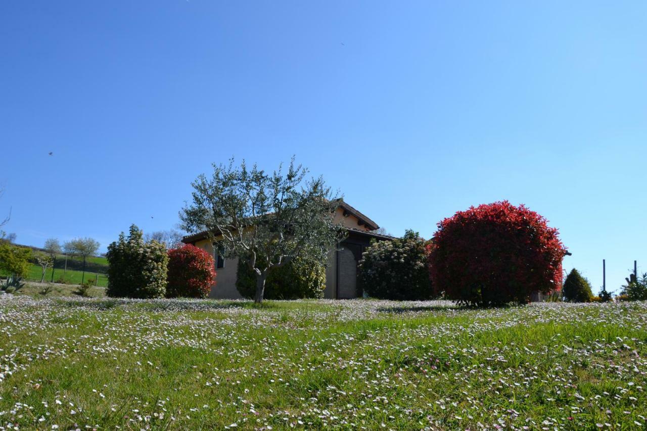 Agriturismo Villa Rosetta San Severino Marche Dış mekan fotoğraf